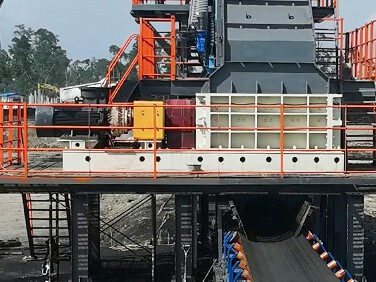 Coal Secondary Sizer Case Coal Secondary Sizer Case